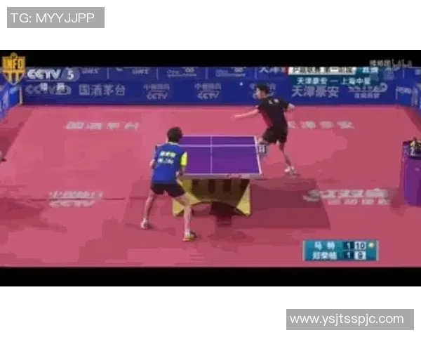 杭州乒乓球队的节奏分析与未来发展趋势探讨