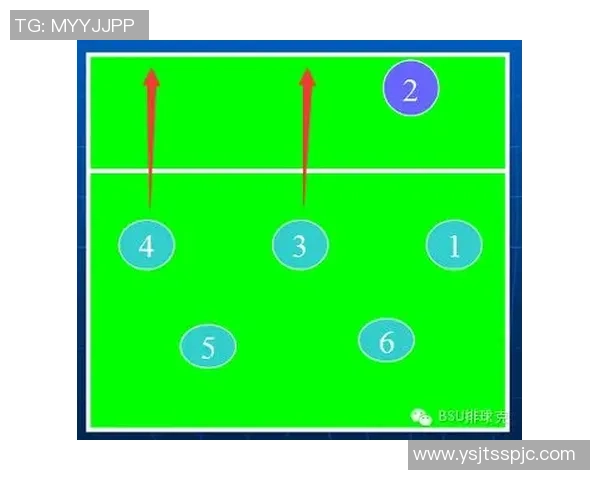 深入分析成都排球队独特的进攻策略与战术特点