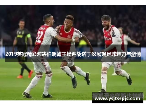 2019英冠精彩对决伯明翰主场迎战诺丁汉展现足球魅力与激情